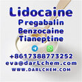 Lidocaine Tianeptine pregabalin