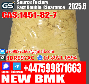 New BMK Powder CAS 25547-51-7