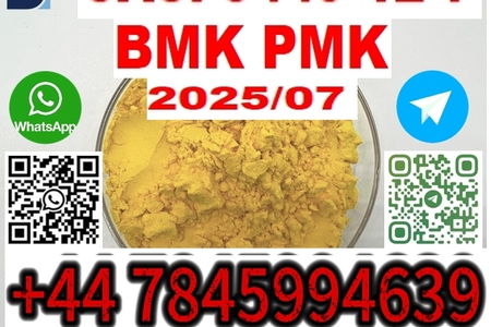 5449-12-7 BMK PMK source factory