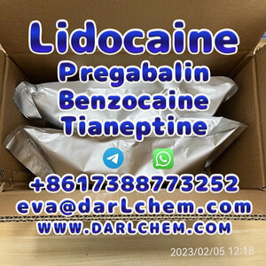 Lidocaine Tianeptine pregabalin