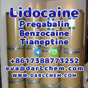 Lidocaine Tianeptine pregabalin