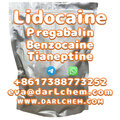 Lidocaine Tianeptine pregabalin