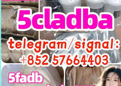 Supplier 5CL-ADB-A,adba 5cl-adba 5cl-adba,adbb