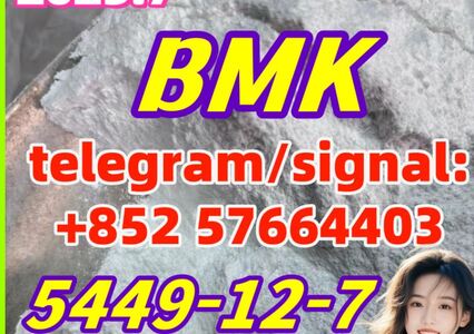 CAS 5449-12-7 BMK Glycidic Acid-bmk powder-factory supply