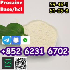 selling Procaine base CAS 59-46-