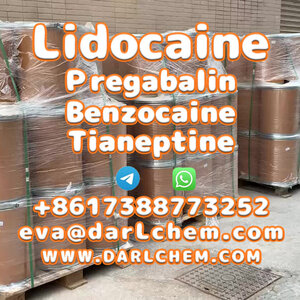 Lidocaine Tianeptine pregabalin