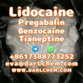 Lidocaine Tianeptine pregabalin