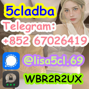 strongest cannabis 5cladba powde