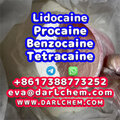 Lidocaine Benzocaine Procaine ra