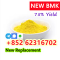Wholesale New BMK 5449-12-7 ? Bu
