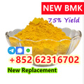 new BMK Powder 5449–12–7 CAS 203
