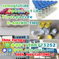 Semaglutide 5-AMINO-1MQ Retatrut