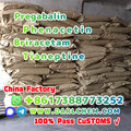 pregabalin Briracetam Tianeptine