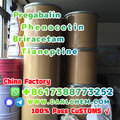 pregabalin Briracetam Tianeptine