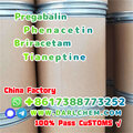 pregabalin Briracetam Tianeptine