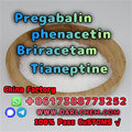 pregabalin Brivaracetam Tianepti