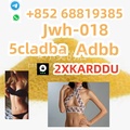 whatsapp+852 68819385 5cladba/Jw
