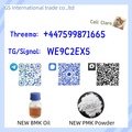 BMK Powder CAS 5449-12-7