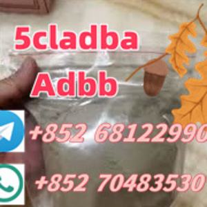 telegram+852 68122990whatsapp+85