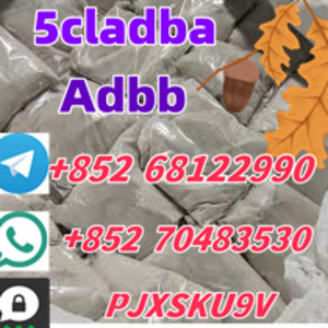 telegram+852 68122990whatsapp+85