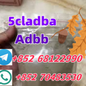 telegram+852 68122990whatsapp+85
