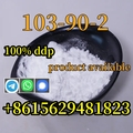 Whatsapp/Telegram: +861562948182