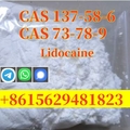 Lidocaine CAS 137-58-6