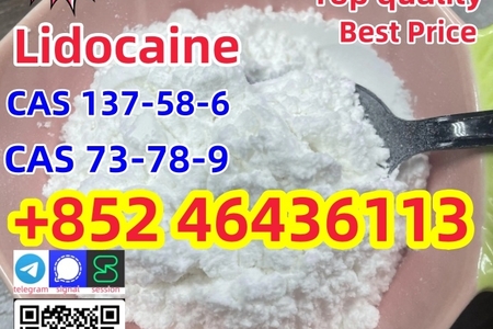 CAS137-58-6 Lidocaine C14H22N2O safe fast delivery  Add +852 464
