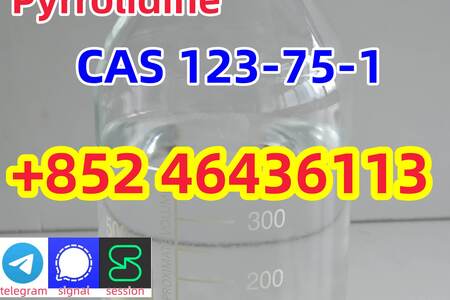 Cas 123-75-1 Pyrrolidine With Factory Price Safe Transportation