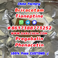 pregabalin Brivaracetam Tianepti