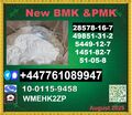 New B.M.K 5449-12-7 P.M.K Powder