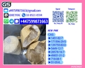 Supplier 5449-12-7 28578-16-7 1