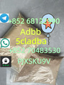telegram+852 68122990whatsapp+85