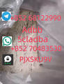 telegram+852 68122990whatsapp+85