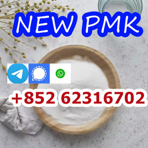 2025 new PMK Oil 28578-16-7/CAS