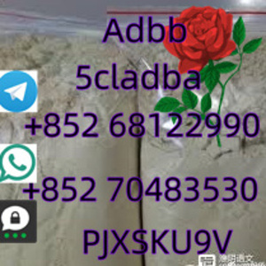 telegram+852 68122990whatsapp+85