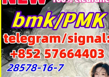 New PMK 28578-16-7 Ethyl Glycidate New BMK 5449-12-7 Powder glyc