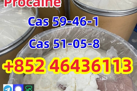 Cas 59-46-1 Procaine Powder For Sale With Safe Delivery