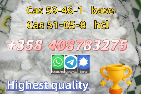 Good Quality Of 59-46-1 Procaine Base Factory Manufacturer Suppl