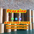 Procaine crystals Powder 59-46-1