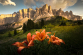 Dolomity