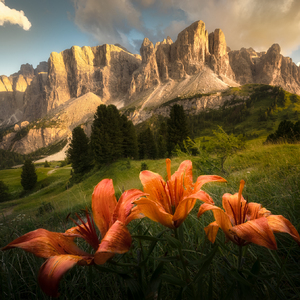 Dolomity