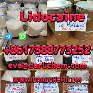 Pharmaceutical Lidocaine base hc