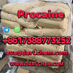 Procaine crystals Powder 59-46-1