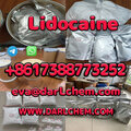 Pharmaceutical Lidocaine base hc