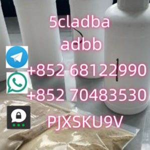 telegram+852 68122990whatsapp+85