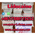 Pharmaceutical Grade Lidocaine b