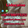 Pharmaceutical Grade Lidocaine b