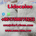 Pharmaceutical Grade Lidocaine b