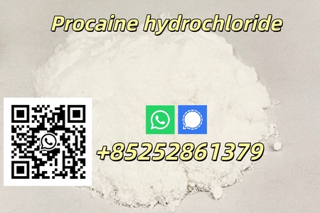 High Quality CAS 51-05-8 Hydrochloride HCl
